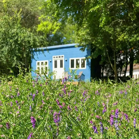 Tiny House In The Middle Of Nature Near Hébergement de vacances Præstø