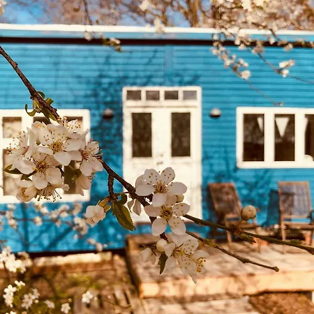 Hébergement de vacances Tiny House In The Middle Of Nature Near